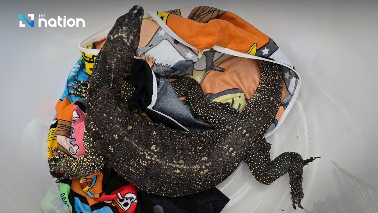 Bandara Thailand Gagalkan Jaringan Penyelundupan Satwa Liar Antar-Negara